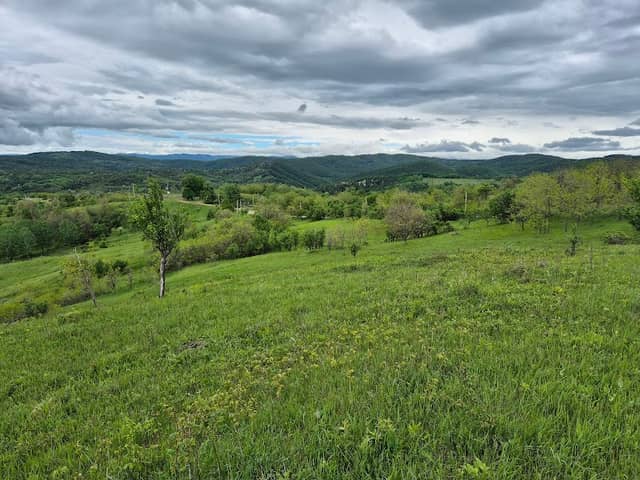 Belvedere Surani - Image 1