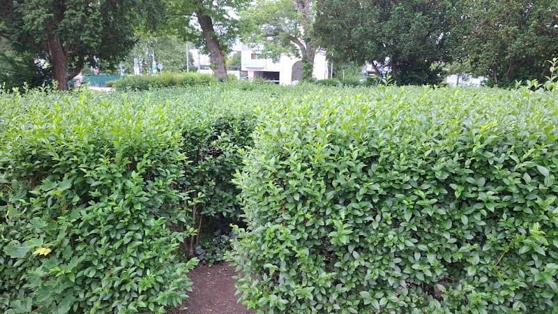 Labyrinth - Image 1