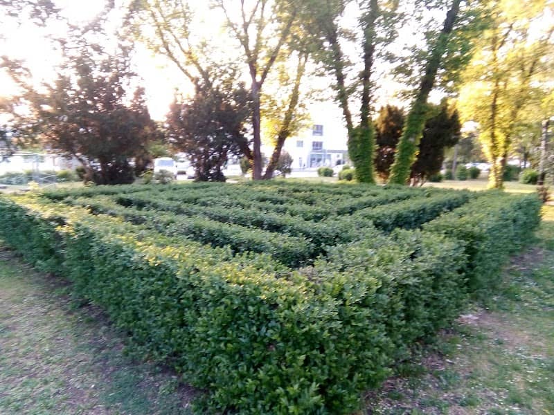 Labyrinth - Image 3