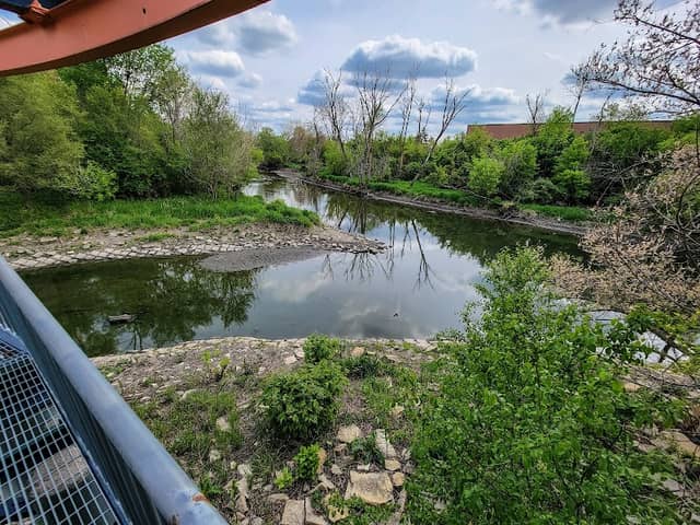 Salt Creek Marsh - Image 2