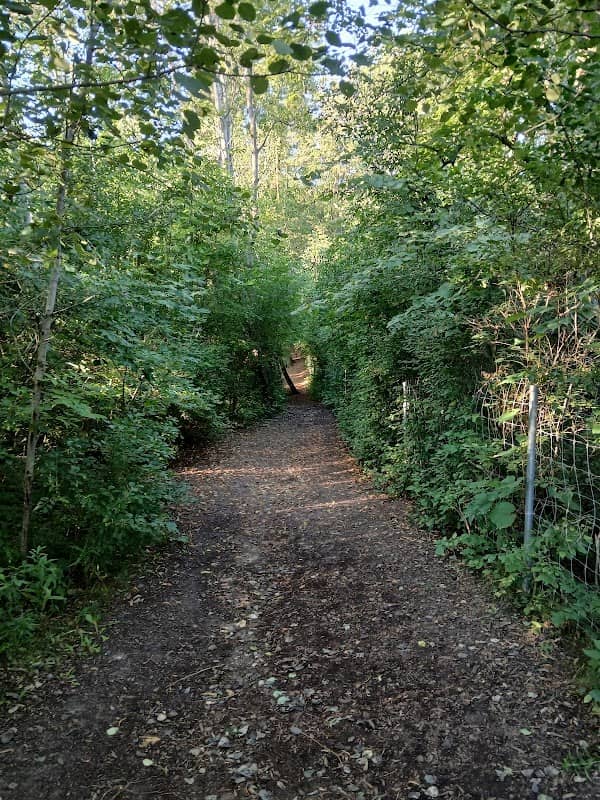 Rolfs Park - Image 1