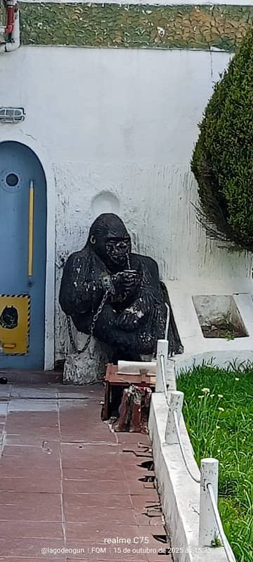 El gorila que toma mate - Image 1