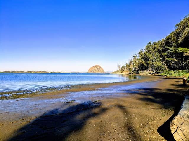 Morro Bay State Park - Image 1