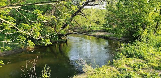 Barrett's Meadow - Image 2