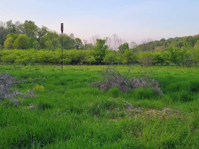 Barrett's Meadow - Image 1