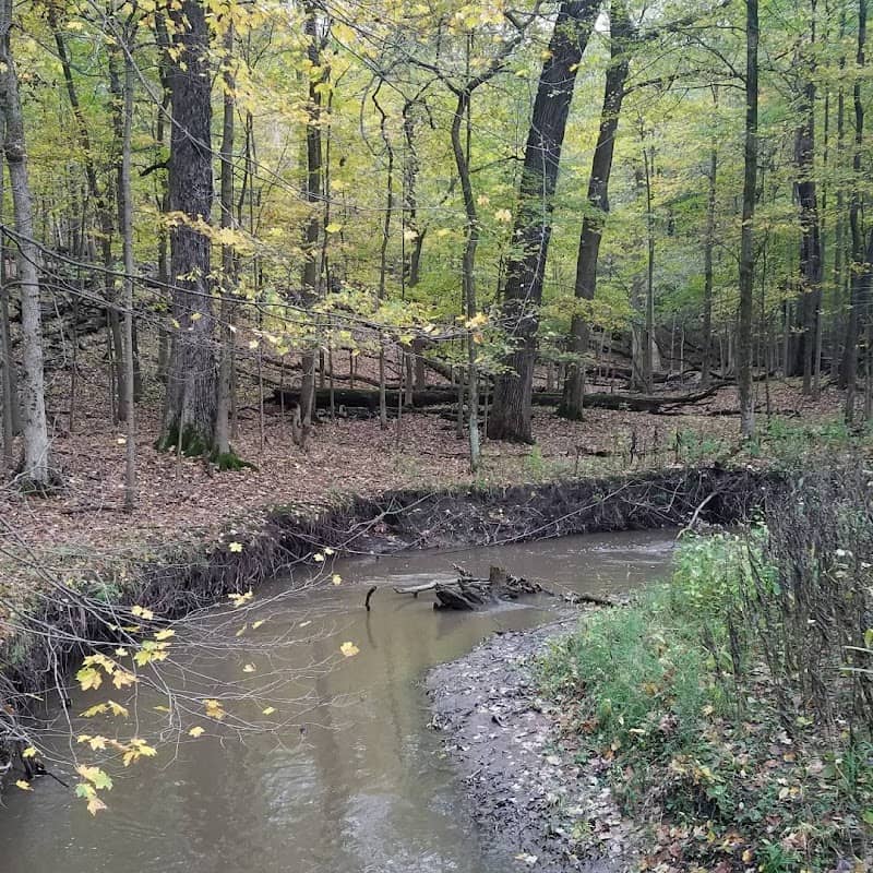 Thorn Creek Woods Nature Preserve - Image 1