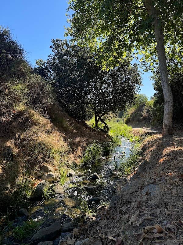 Mission Oaks tree walk - Image 1