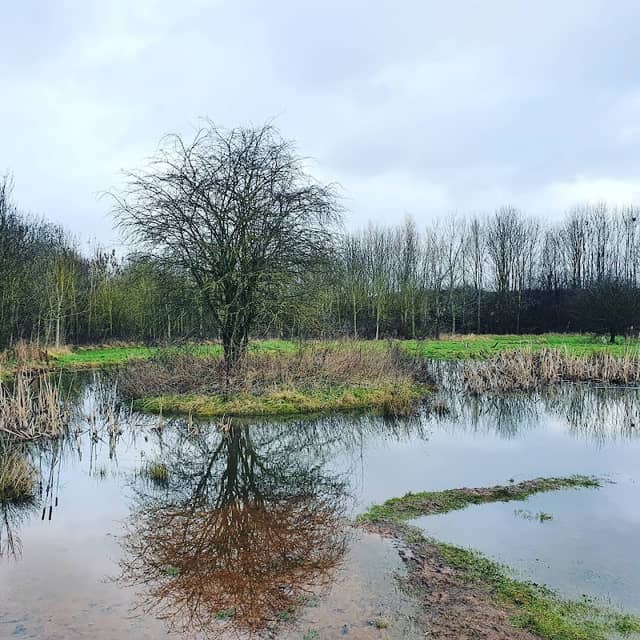 Shepshed Nature Reserve - Image 1