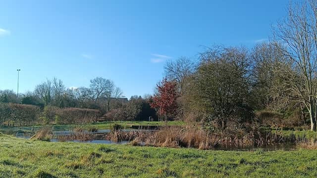 Shepshed Nature Reserve - Image 2