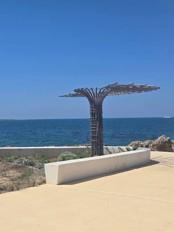 Harry’s Cove - Image 2