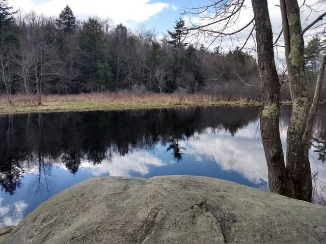 Children's Woods and Carey Park Jaffrey NH - Image 1