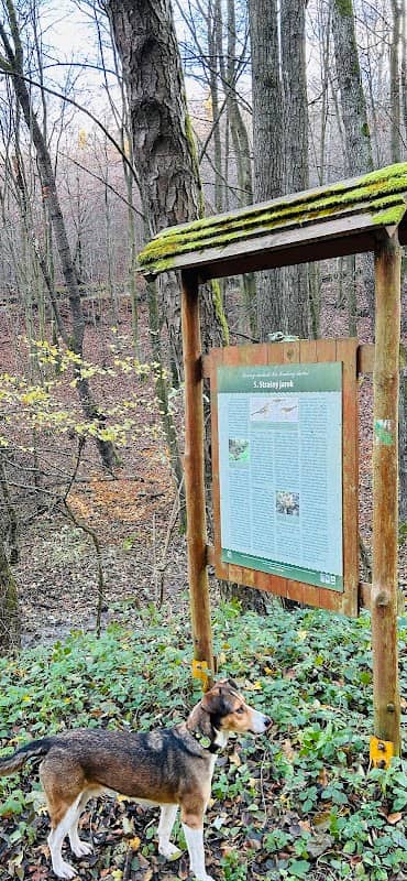 Náučný chodník ku Kráľovej studni - Image 1