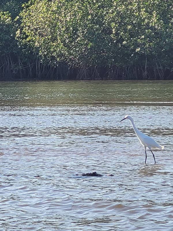 Estero Tamarindo - Image 3