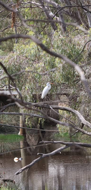 Jack Schier Reserve - Image 2