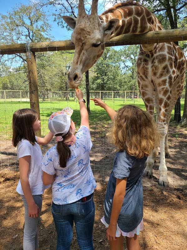 Eudora Wildlife Safari Park - Image 2