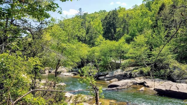 Burnt Mill Loop Trail - Image 2