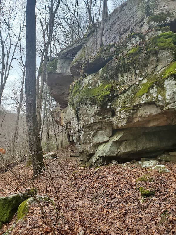 Burnt Mill Loop Trail - Image 1