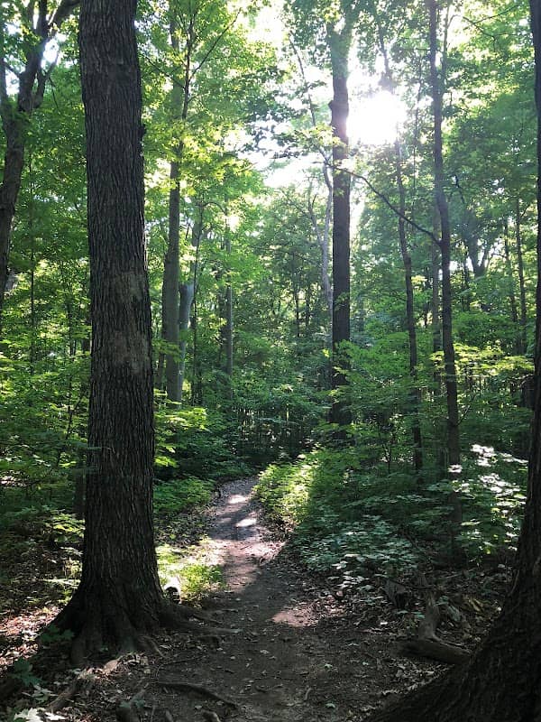 Cudahy Nature Preserve - Image 3