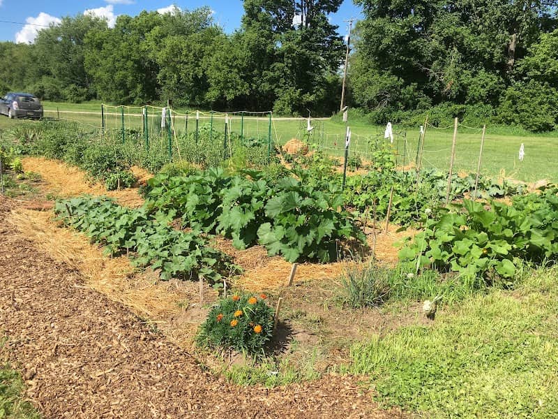 Village of Middleville Community Garden - Image 1