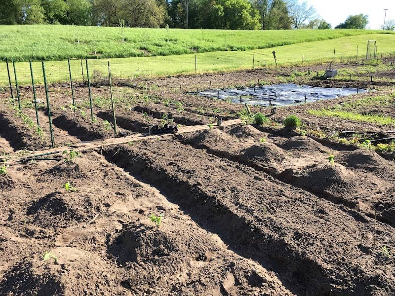 Village of Middleville Community Garden - Image 2