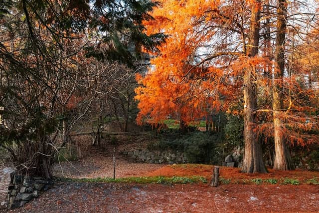 Parco Lonzina - Image 2
