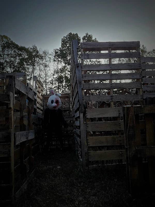 Halls of Hysteria Haunted Attraction - Image 2