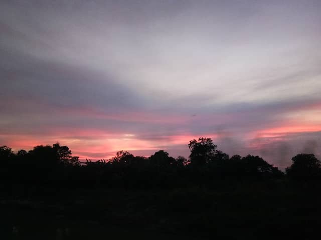 jalaur - Image 1