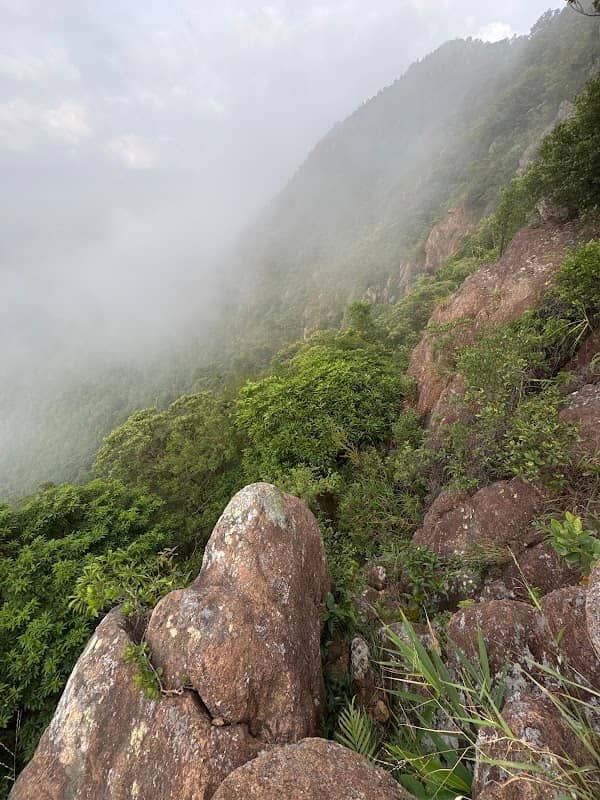 Monkey Cliff - Image 1