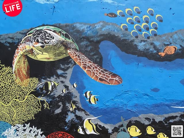 Marine Conservation Graffiti - Image 1