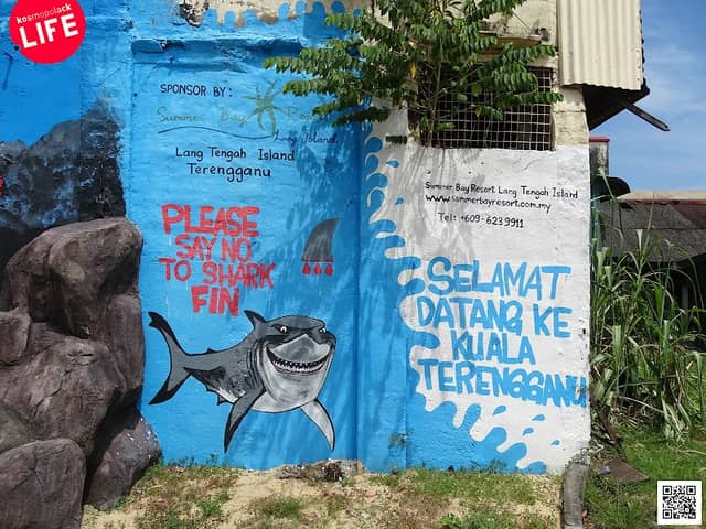 Marine Conservation Graffiti - Image 2