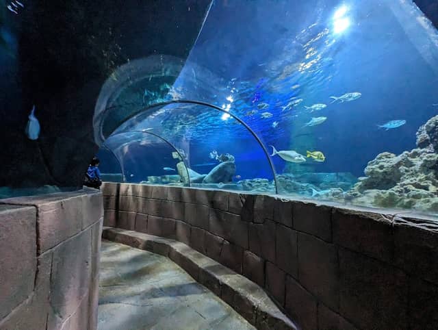 SEA LIFE Hannover - Image 2