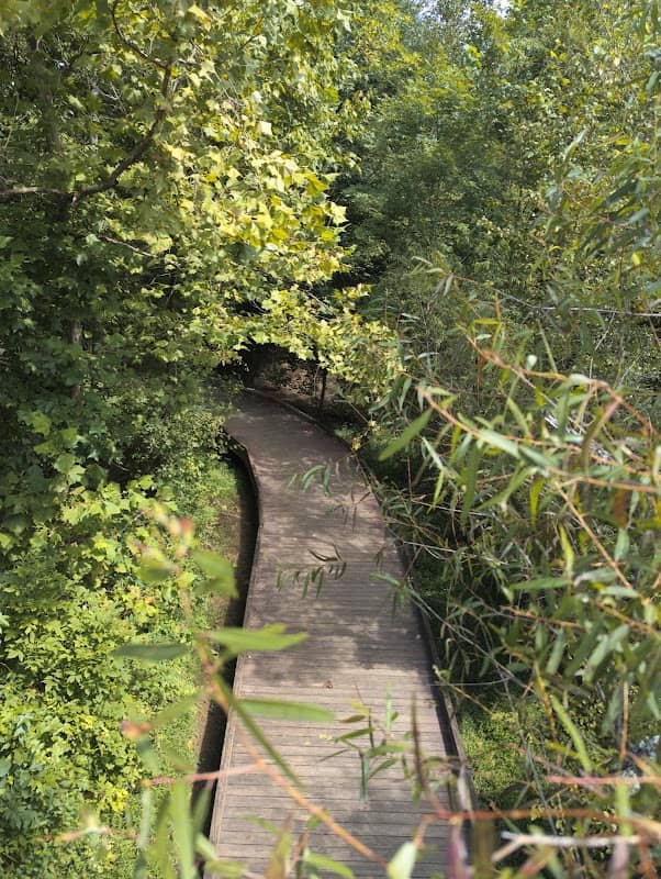 Suwanee Creek Greenway - Image 1