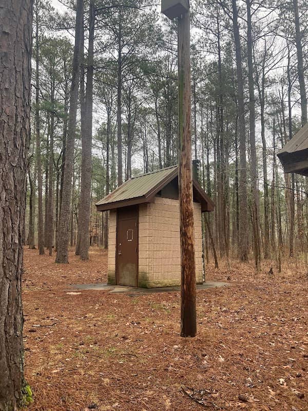 Turnipseed Pit Toilet - Image 1