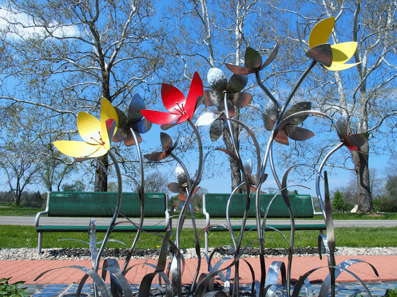 Women's Park - Image 1