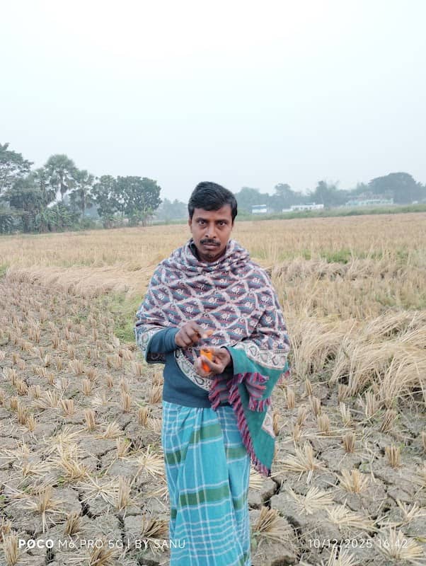 লোটু দের পুকুর - Image 1