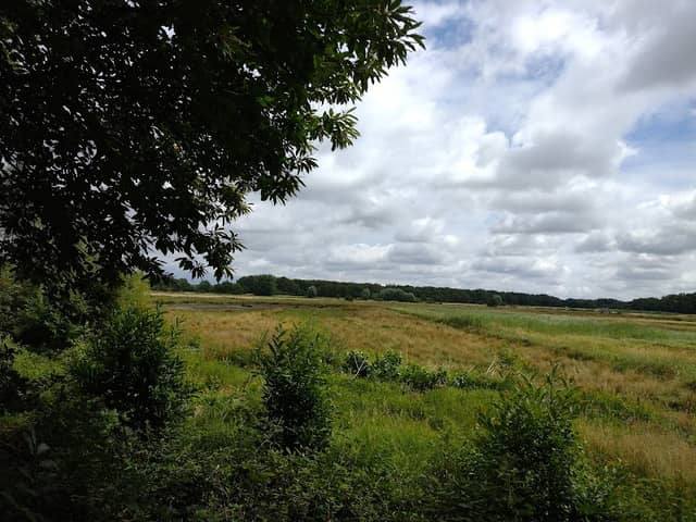 Beobachtungsturm Dingdener Heide - Image 1