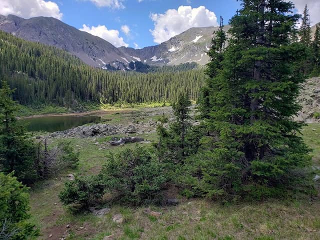 Carson National Forest - Image 2
