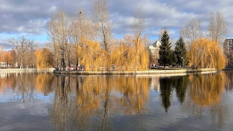 Ternopil lake view - Image 1