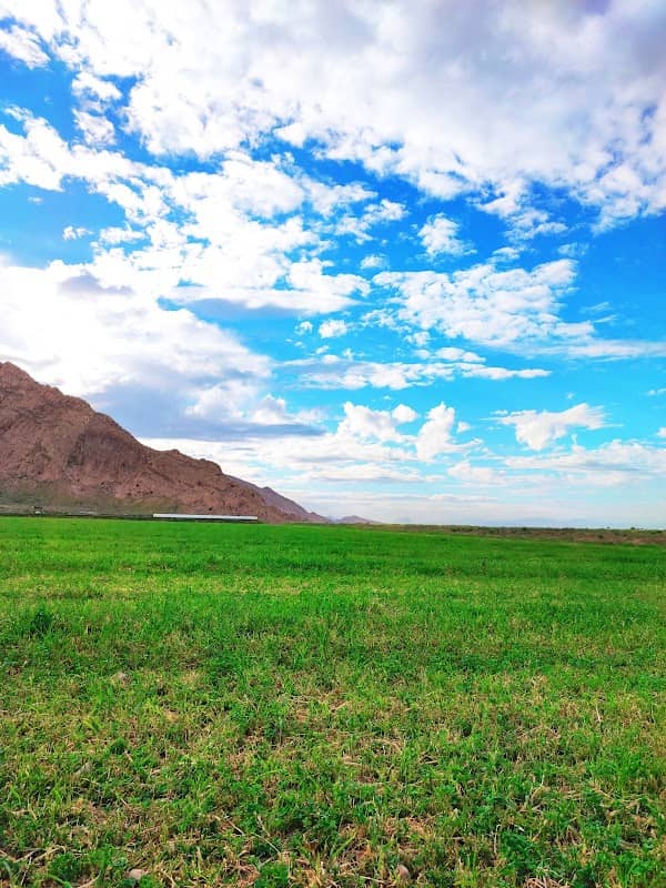 پژمان کوه - Image 2