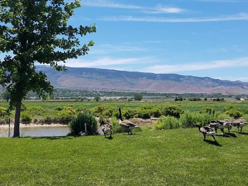 Lake Damonte Ranch - Image 2