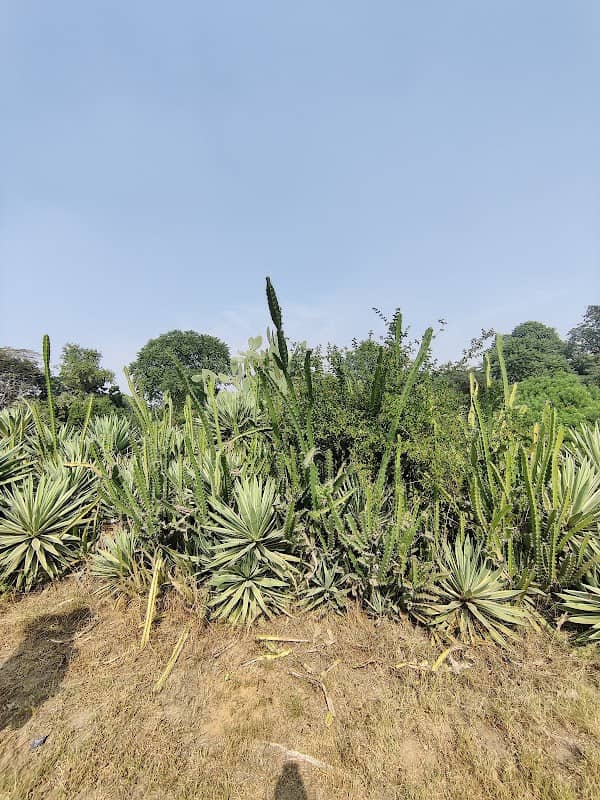 Sky Lawns - Image 2