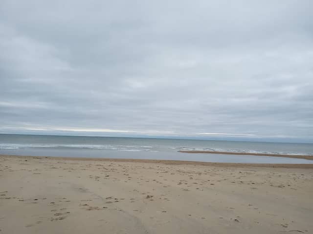 Tawas Point-Sandy Hook Nature Trail - Image 3
