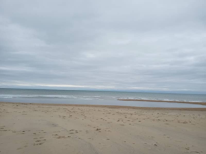 Tawas Point-Sandy Hook Nature Trail - Image 3