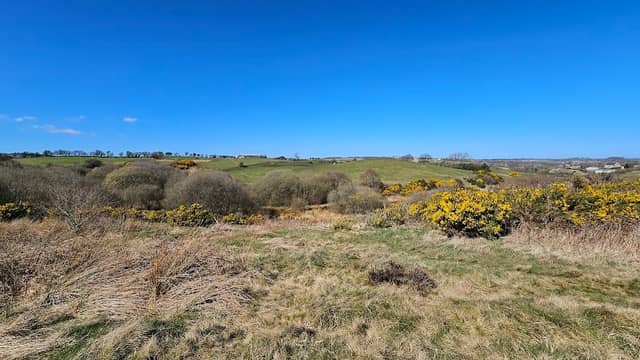 Kyo Bogs Nature Reserve - Image 1