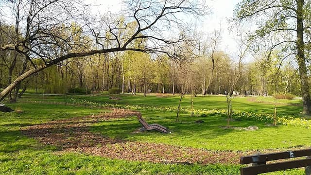 Park Dworski - Image 2