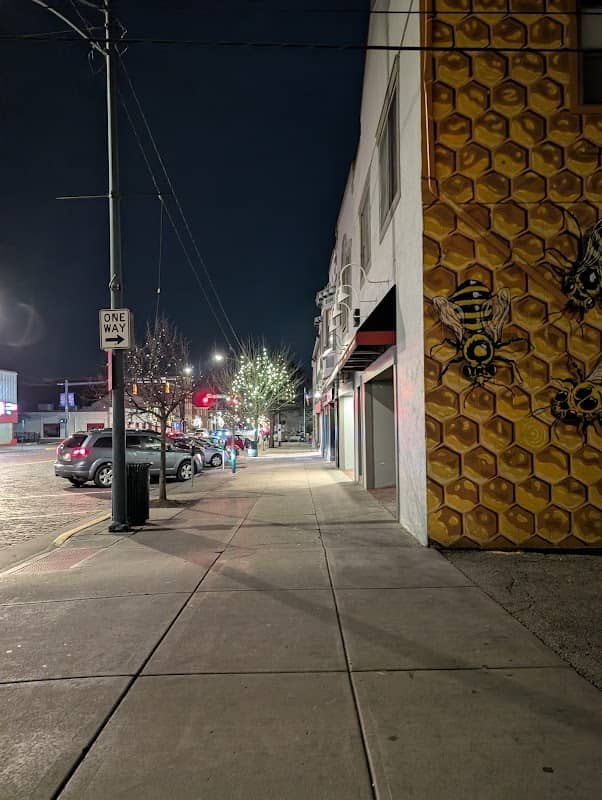 Oxford Hive Mural - Image 1