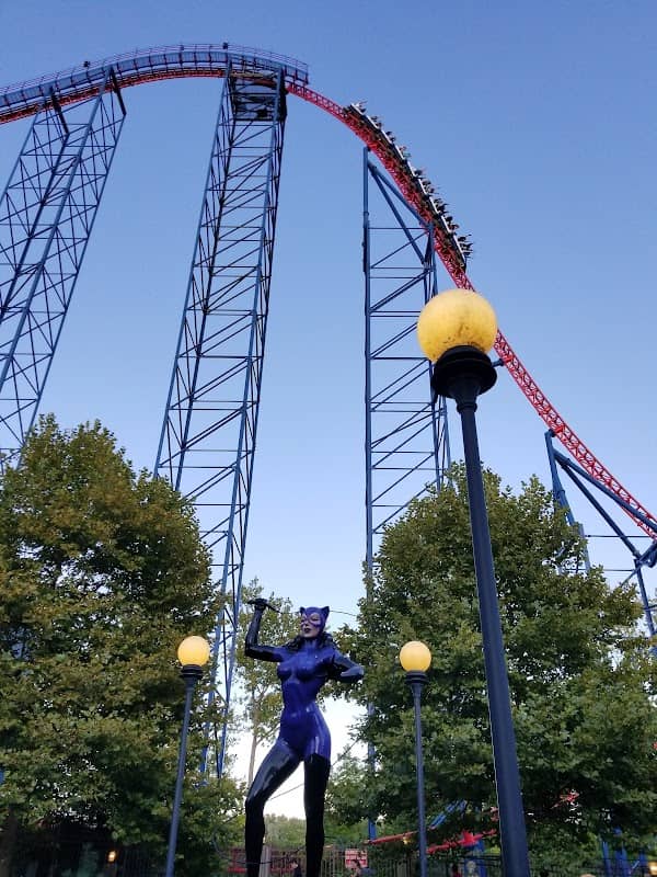 Catwoman Whip - Image 1
