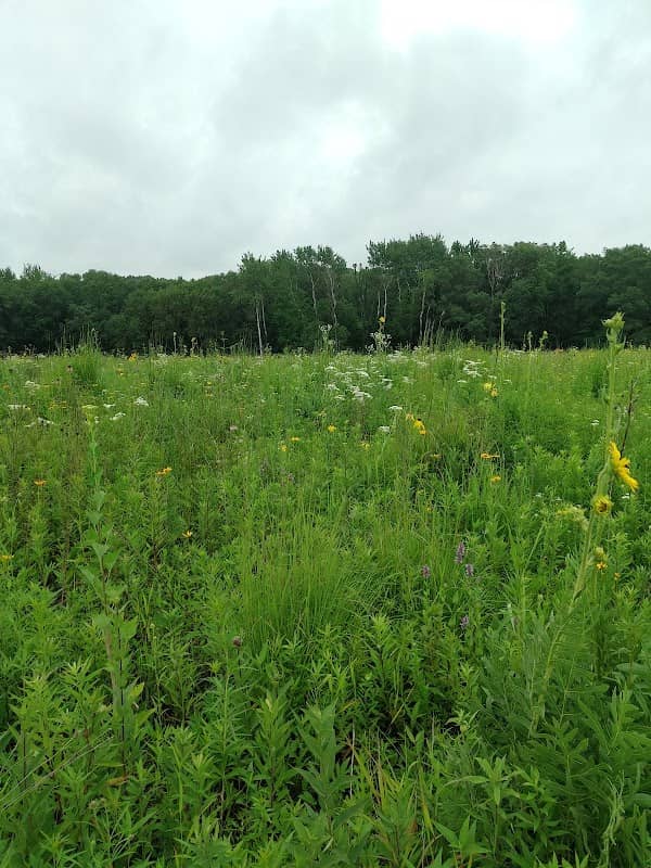 Hickory Hill Conservancy Park - Image 2