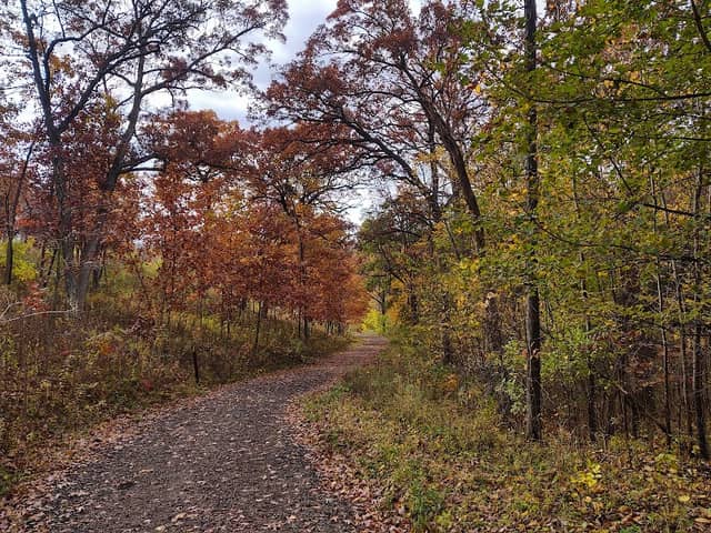 Hickory Hill Conservancy Park - Image 1