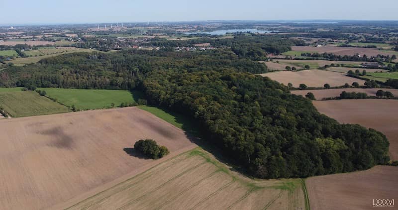 Hagener Moor - Image 1